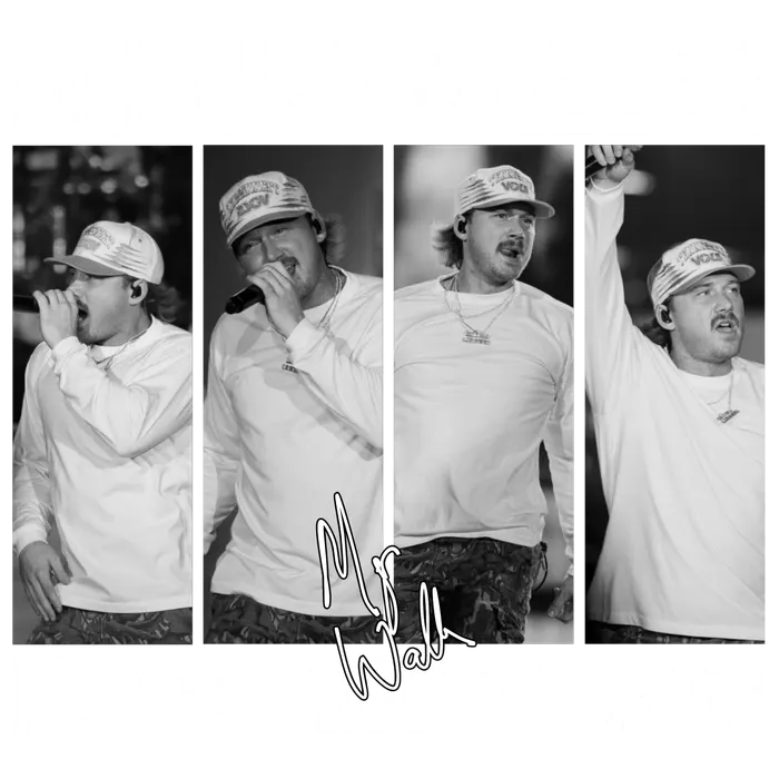 Morgan Wallen Tour