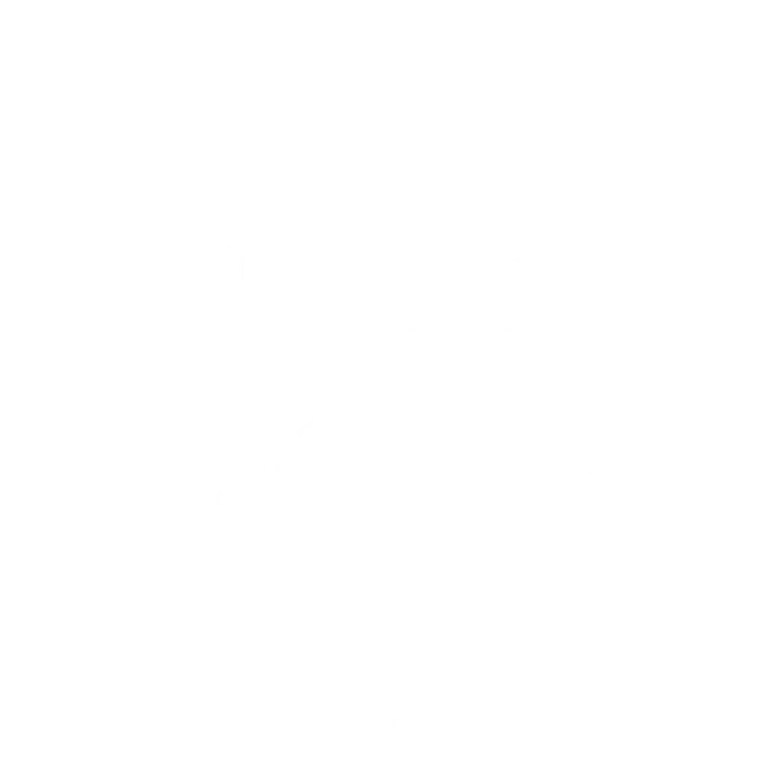 PV VOBW Giant snowflake white
