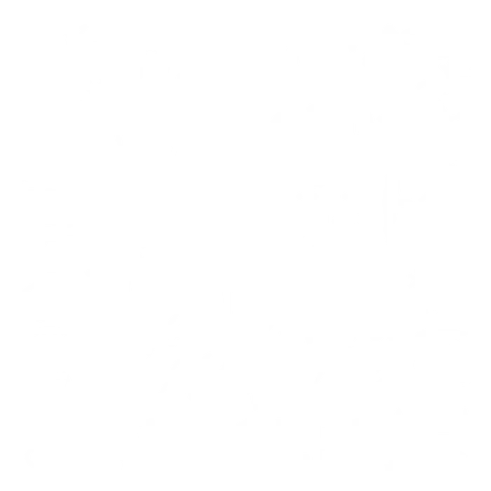 PV SALA Reindeer name collage white