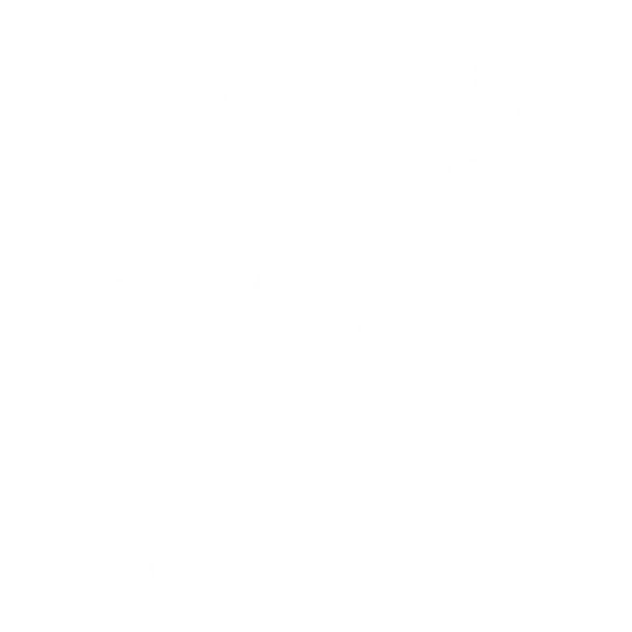 PV T6S4 Christmas tree botanical white