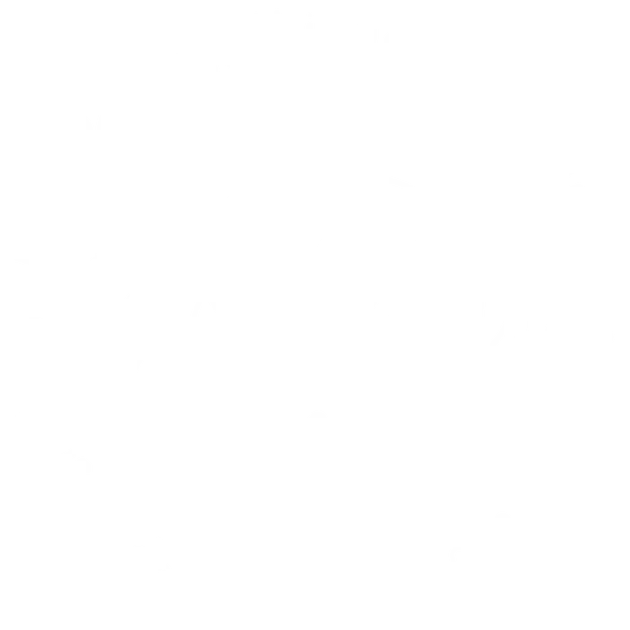PV YIZA Grateful circle white