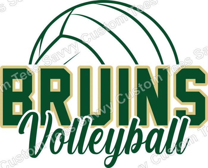PV HI1T Volleyball Spirit wear 2