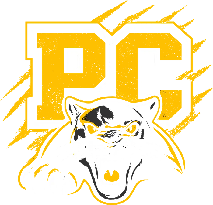 PC Pumas