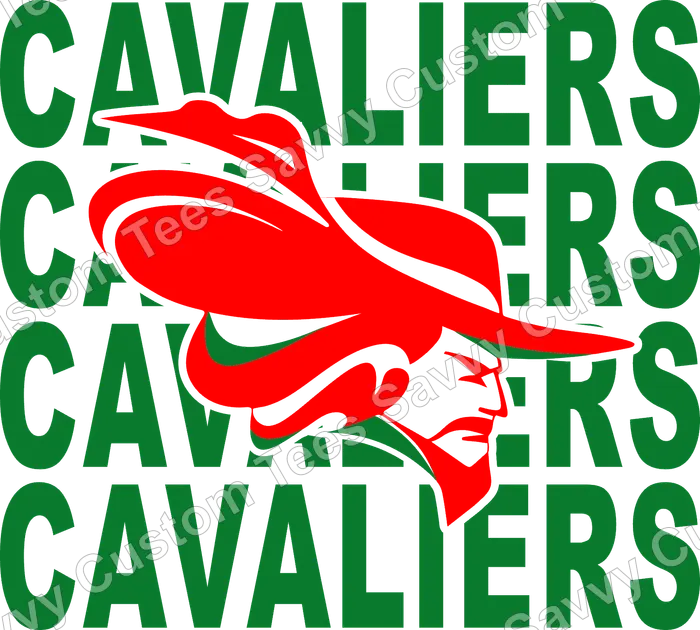 Cavaliers Plane Graphic