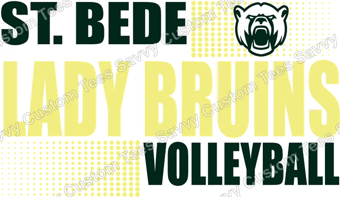 PV S6W4 Volleyball 6